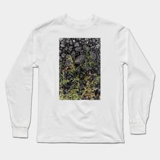 Green Grass Growing On Black Stones - Alternative Long Sleeve T-Shirt